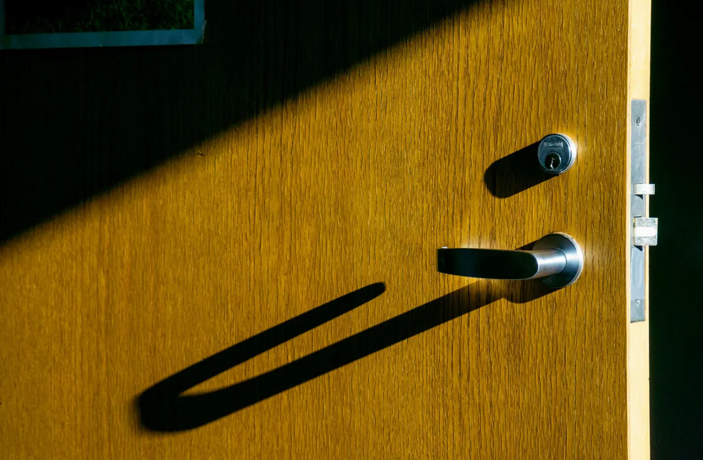 Poignée inox sur une porte en bois